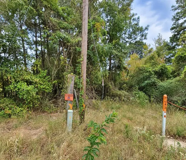 0 Ferguson Road, Harleton, TX 75651