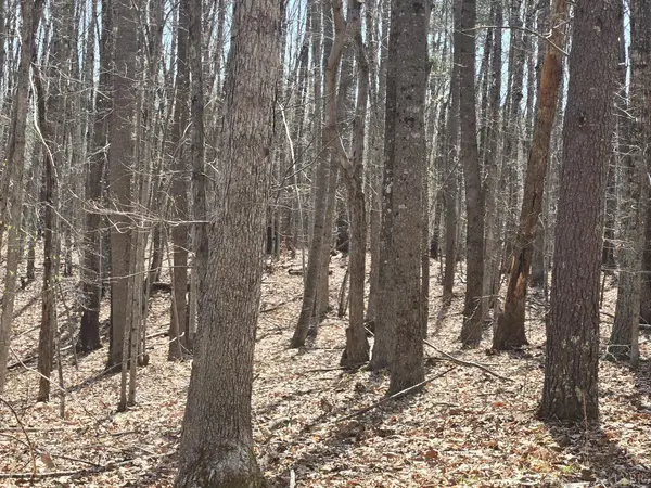 0 Equestrian Trail RD,  New Canton,  VA 23123