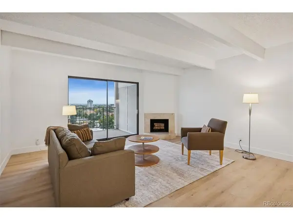 777 N Washington #804, Denver, CO 80203