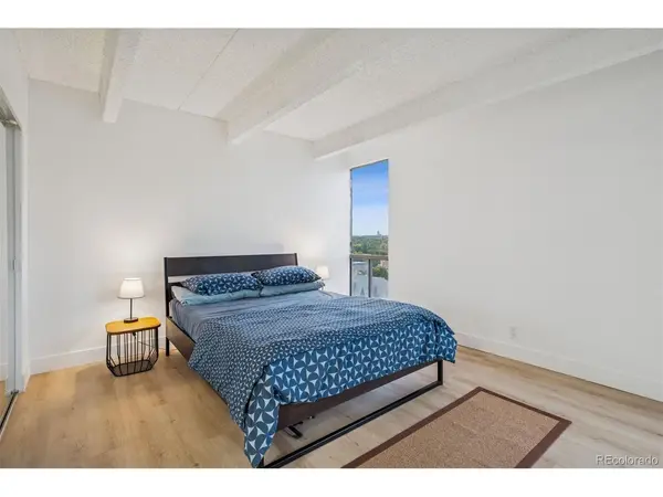 777 N Washington #804, Denver, CO 80203