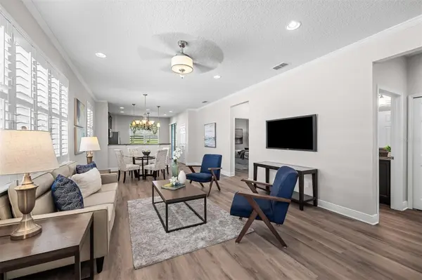 22004 BELGIAN CT, Mount Dora, FL 32757