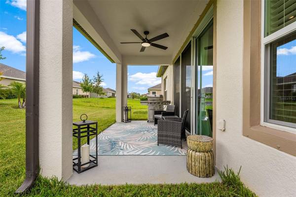 6252 HIDDEN BRANCH DR, Apollo Beach, FL, 33572 photo 42