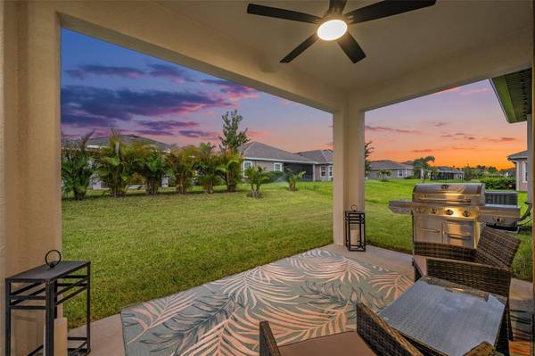 6252 HIDDEN BRANCH DR, Apollo Beach, FL, 33572 photo 43