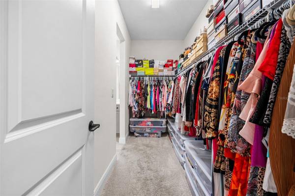 6252 HIDDEN BRANCH DR, Apollo Beach, FL, 33572 photo 33