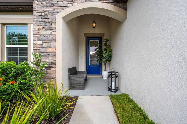 6252 HIDDEN BRANCH DR, Apollo Beach, FL, 33572 photo 59