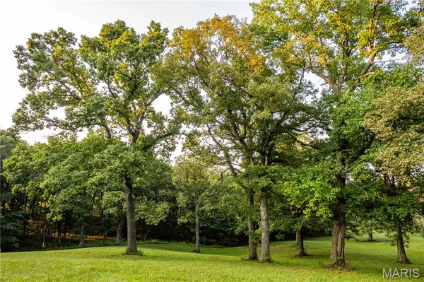 0 Highway D - Tract 6 (23.6+/- Acres), Eolia, MO 63344