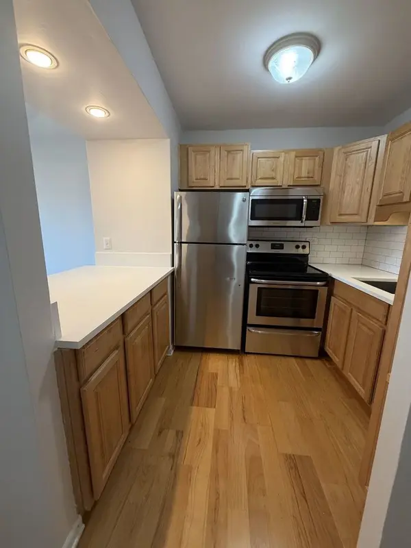 1255 N Sandburg TER #1508, Chicago, IL 60610