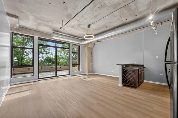 1550 S Blue Island AVE #420, Chicago, IL 60608