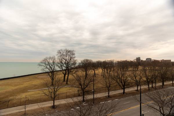 6730 S South Shore DR #501, Chicago, IL 60649