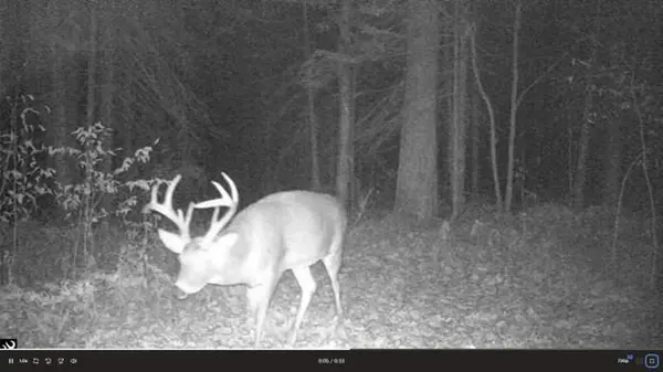 384 Acres TBD Little Pine RD, Emily, MN 56447