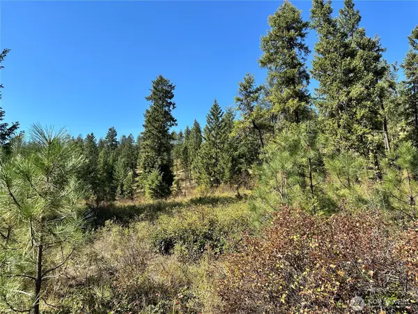 1 Lot 1 Deadman Creek Rd, Kettle Falls, WA 99141