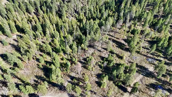 4 Lot 4 Deadman Creek Rd, Kettle Falls, WA 99141