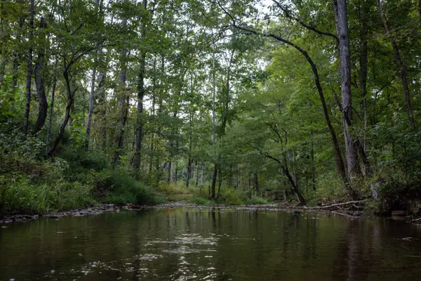 202 Ravenridge Rd, Summertown, TN 38483