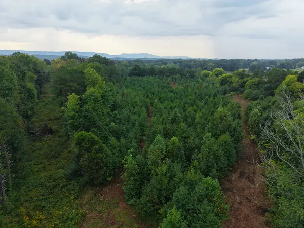 0 County Road 550, Athens, TN 37303