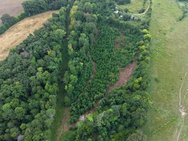 0 County Road 550, Athens, TN 37303