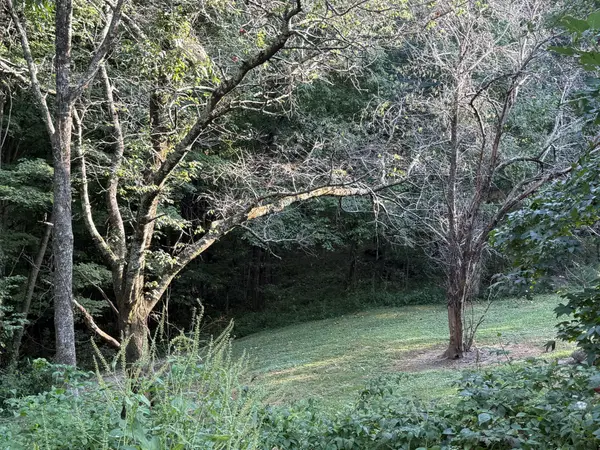 835 Vowell Mountain Ln, Rocky Top, TN 37769