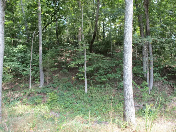 1613 Red Bank Creek Rd, Lobelville, TN 37097
