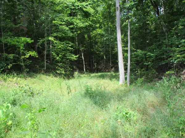 1613 Red Bank Creek Rd, Lobelville, TN 37097