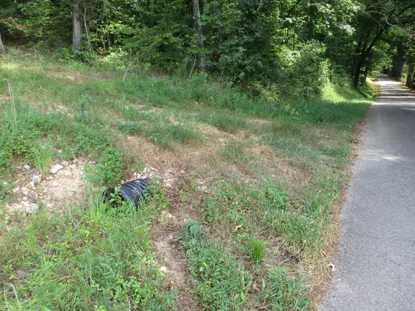 1613 Red Bank Creek Rd, Lobelville, TN 37097