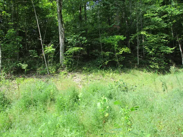 1613 Red Bank Creek Rd, Lobelville, TN 37097