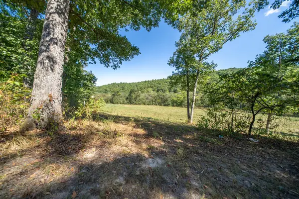 190 Wattle TRL, Drury, MO 65638