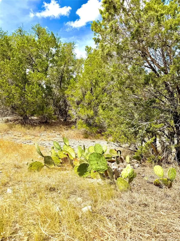 2519 George PASS, Canyon Lake, TX 78133