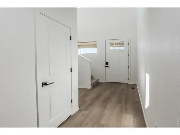 768 Chatter, Windsor, CO 80550
