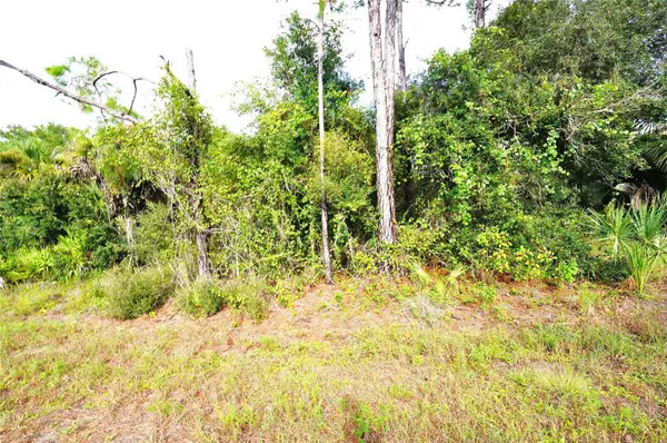 BAYNES RD, North Port, FL 34288