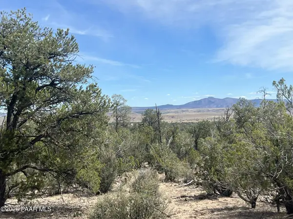 1510 Off Of Lion Canyon Drive, Seligman, AZ 86337