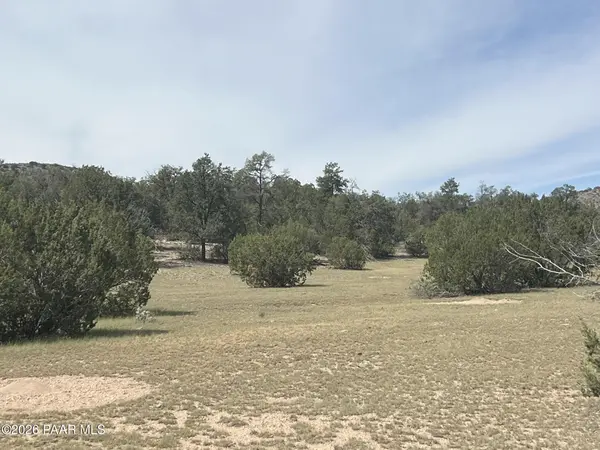 1510 Off Of Lion Canyon Drive, Seligman, AZ 86337