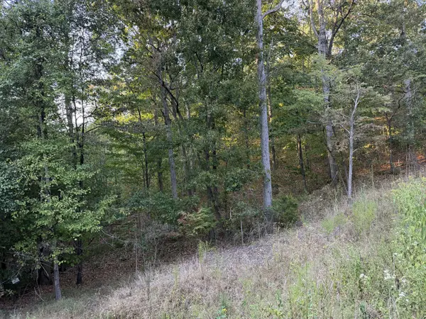 0 Magnolia Lane, Normandy, TN 37360