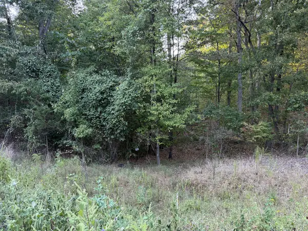 0 Magnolia Lane, Normandy, TN 37360