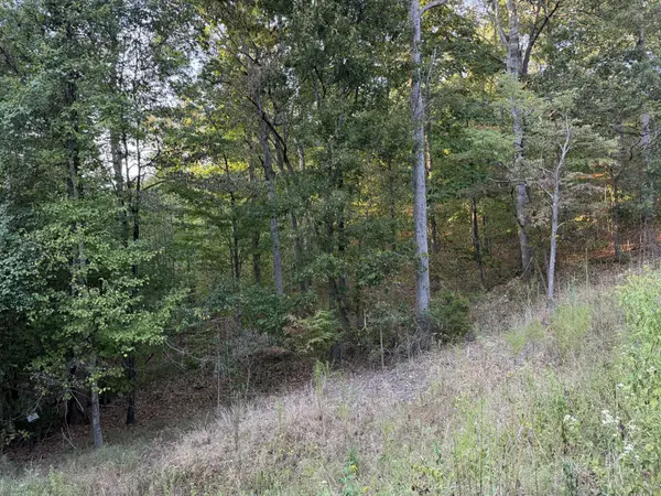 0 Magnolia Lane, Normandy, TN 37360