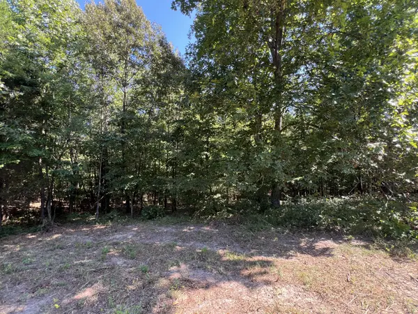 0 Piper Road, Bon Aqua, TN 37025