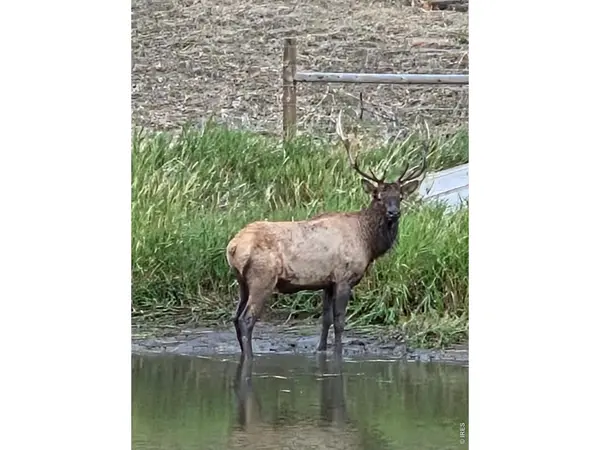14133 Rist Canyon, Bellvue, CO 80512