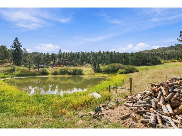 14133 Rist Canyon, Bellvue, CO 80512