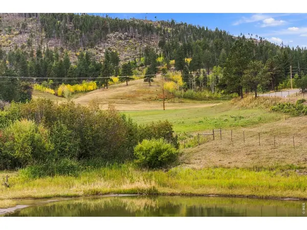 14133 Rist Canyon, Bellvue, CO 80512