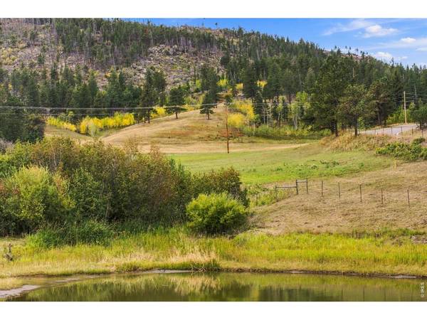 14133 Rist Canyon, Bellvue, CO 80512