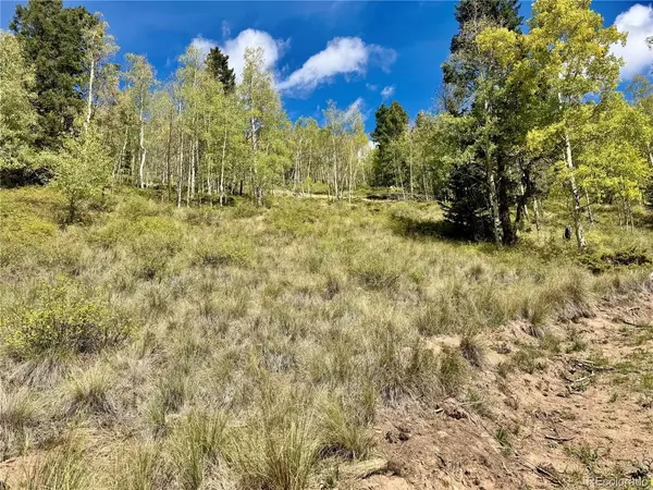 Ryland, San Luis, CO 81152