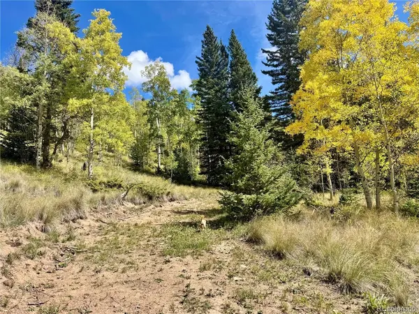 Ryland, San Luis, CO 81152