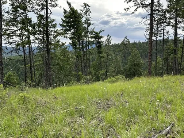 36XX Lot Q Sheridan Rd, Republic, WA 99166