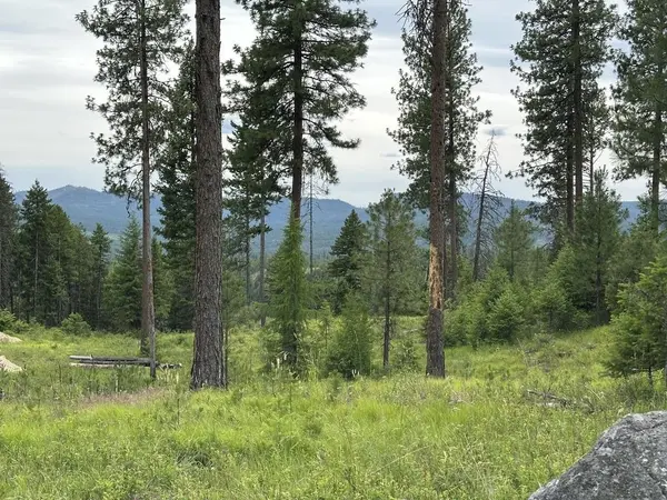 36XX Lot P Sheridan Rd, Republic, WA 99166