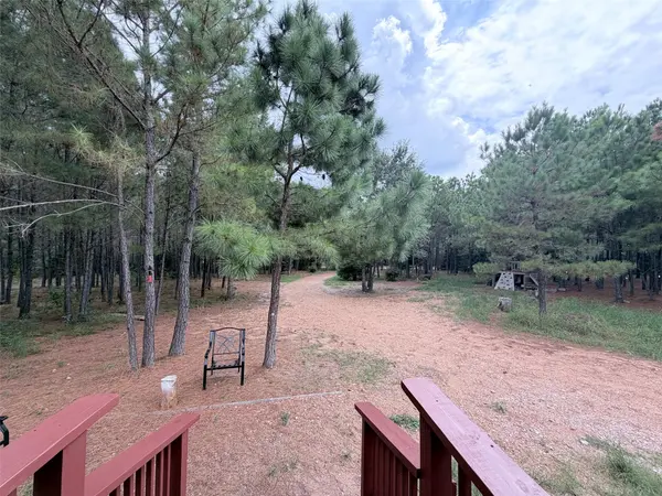 291 Ponderosa LOOP, Paige, TX 78659