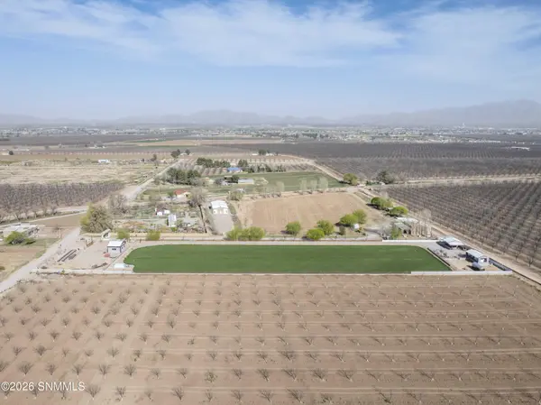1405 Webb RD, Anthony, NM 88021