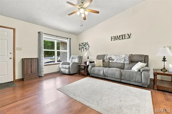 52 E Lakeview DR, De Soto, MO 63020
