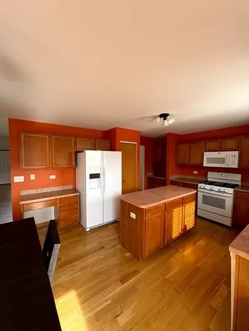 1301 BURNS CT, Minooka, IL 60447