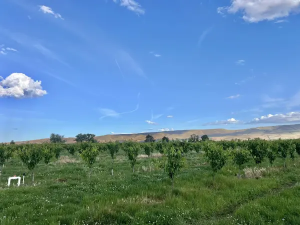 TBD Robinson Rd, Grandview, WA 98930
