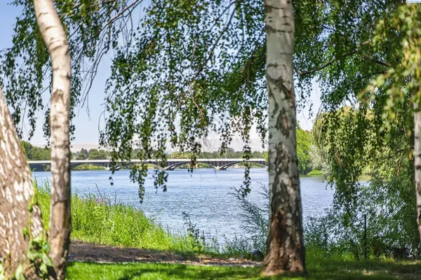 7501 S 1366 PrSW, Prosser, WA 99350