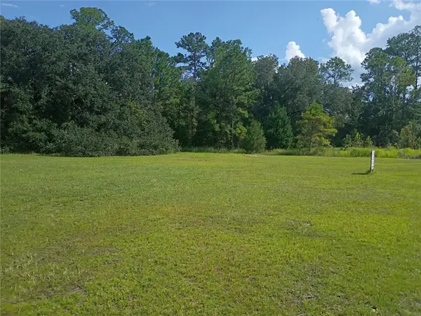 TBD NE US HIGHWAY 301, Waldo, FL 32694