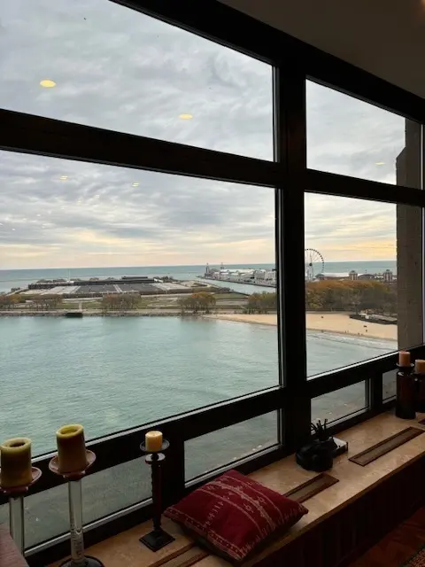 680 N Lake Shore DR #1103, Chicago, IL 60611